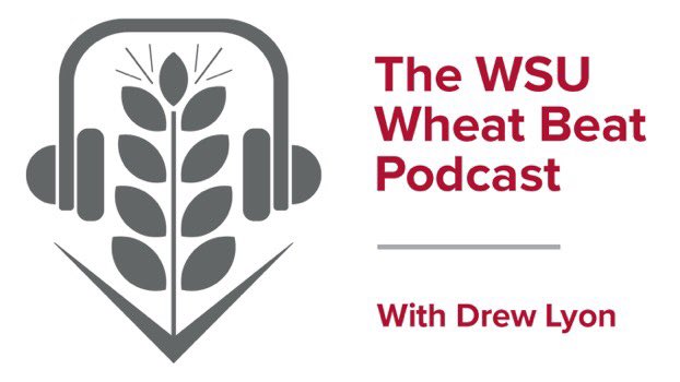 WSUSmallGrains's tweet image. We have @AaronEsser1 back on the #WSUWheatBeat podcast today! Join us as we sit down with him and @WSUweeds discussing what resources are available for small grains during these unprecedented times 🌾👇🏼 #GoCougs #WSU 
smallgrains.wsu.edu/wsu-wheat-beat…