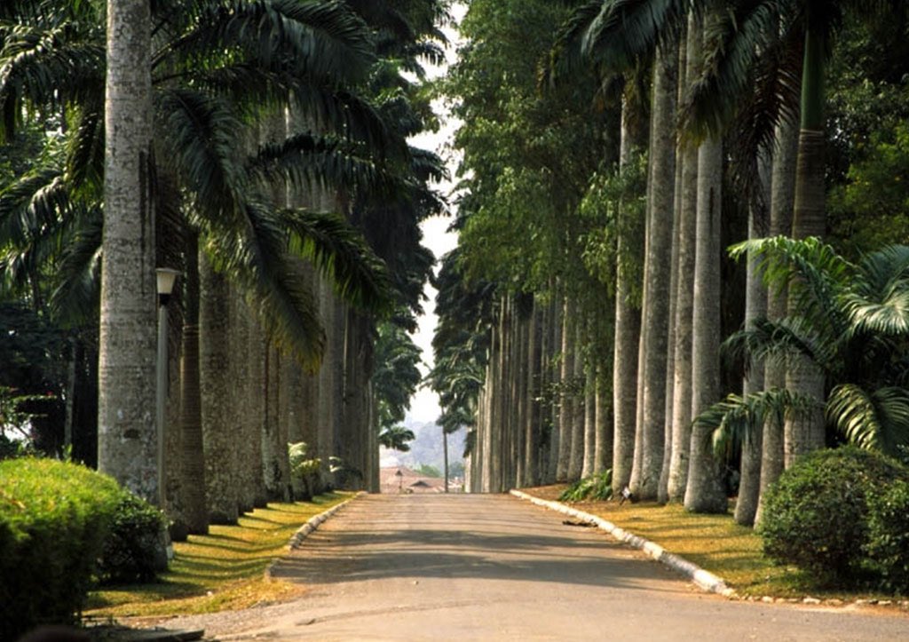 BinniAdu's tweet photo. @Humanforscale_ Aburi gardens, Ghana. Opened in the  same decade. https://t.co/VGHozBkV4R