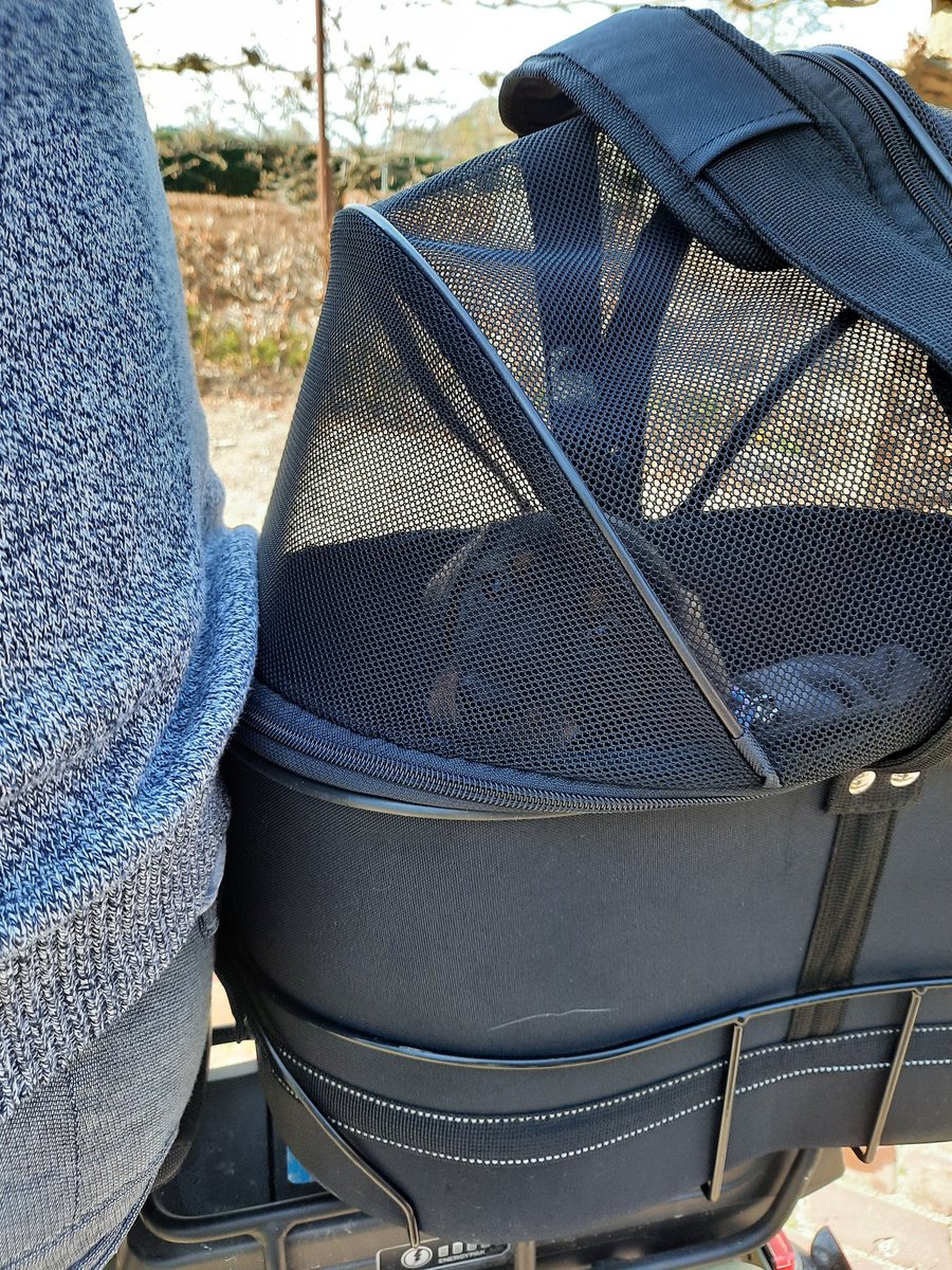 We gingen een stukje fietsen met Loetje, wat een feest.