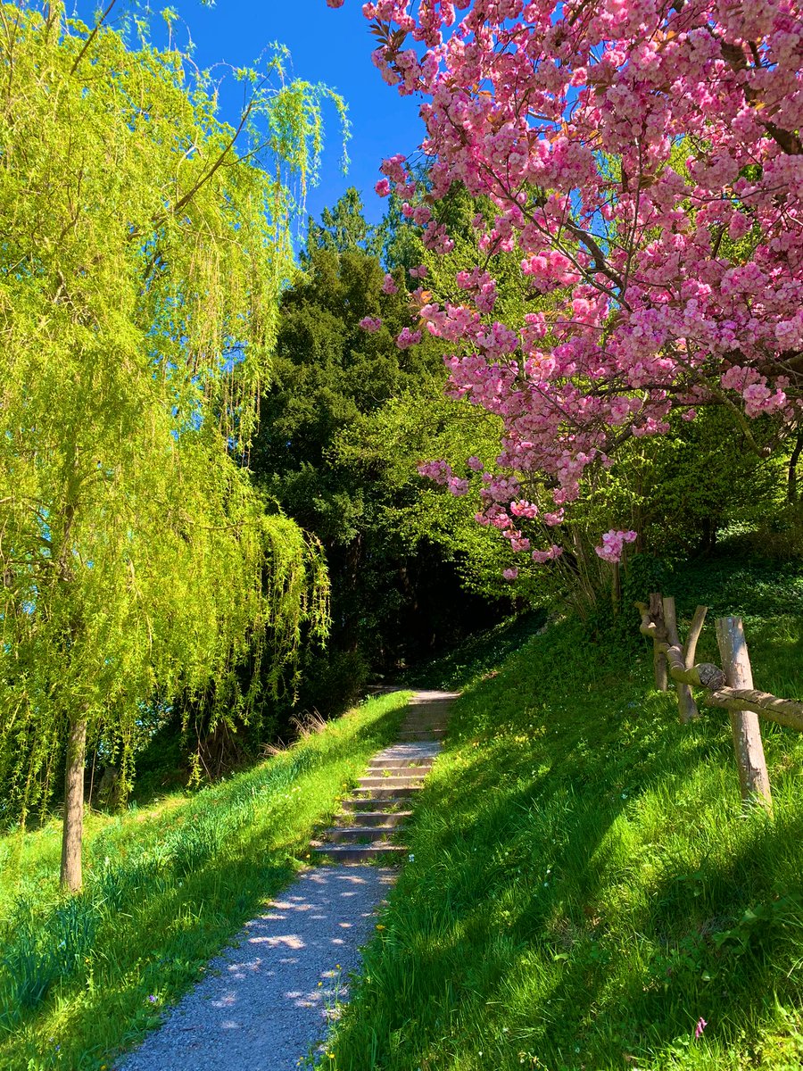 lukas_iff's tweet image. Ganz in der Nähe befindet sich einer der schönsten Aussichtspunkte am #Untersee: Schloss #Arenenberg in Salenstein. Das Bistro Louis Napoléon ist auch sympathisch… 😍 #Bodensee #Thurgau #Schweiz