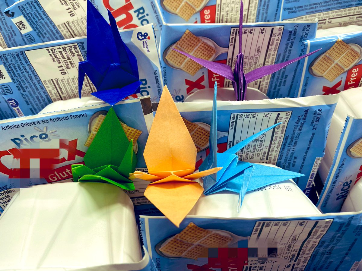 SchoolLunchLady's tweet photo. ＃こども食堂 ＃給食費無料化 #origamikidschallenge #child_happiness #nokidhungry #feedthechildren #kidseatright https://t.co/gwPEIWfhpI