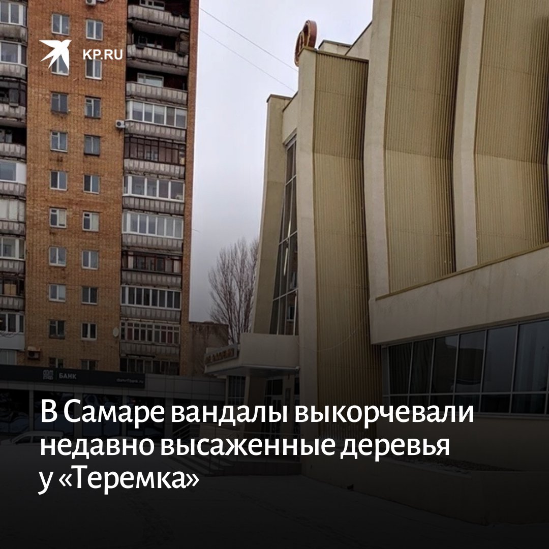 Вандалы выкорчевали и украли новые деревья, которые посадили около Дворца бракосочетания на пересечении Молодогвардейской и Полевой.

samara.kp.ru/online/news/47…