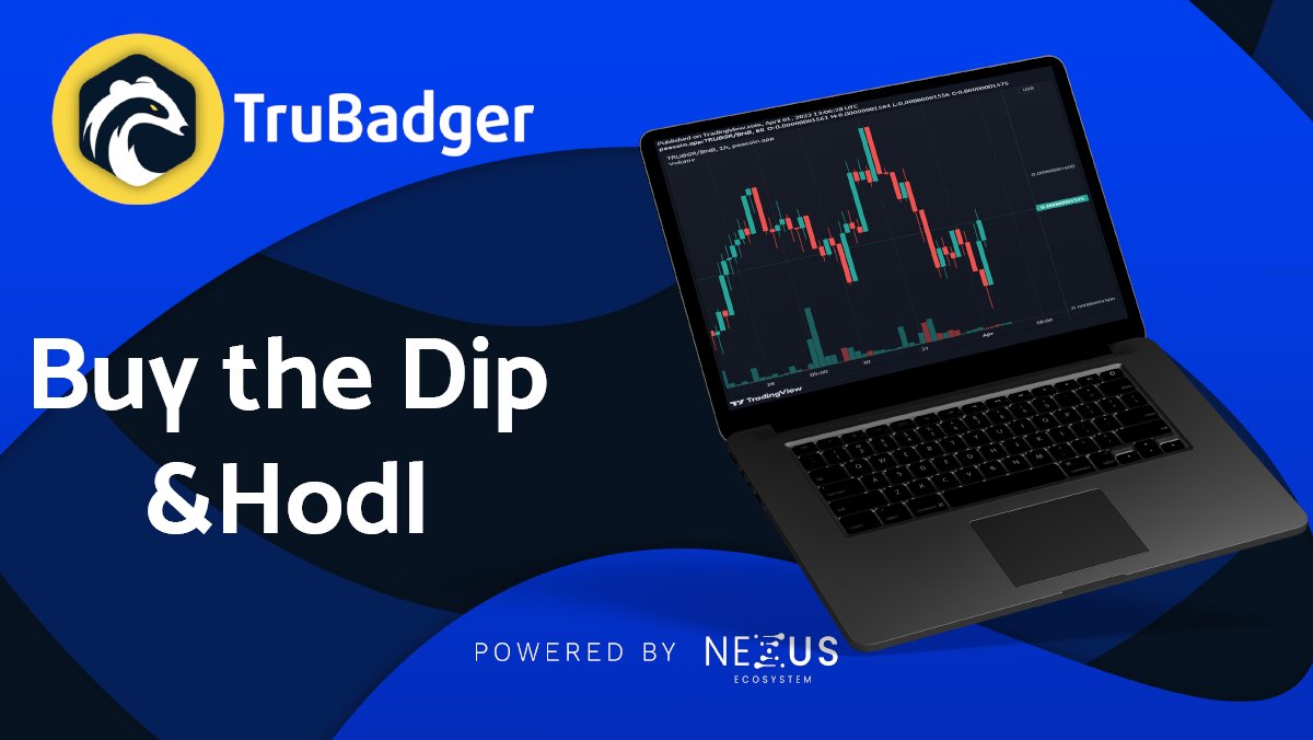 TheTruBadger's tweet photo. Let's get out of this situation TRADERS and continue our journey towards the MOON! 🌚 ✌
 
All you've to do is BUY THE DIP &amp; HODL!🌎🚀

#TRUBGR #altcoins #BSCGems #100xgem https://t.co/KjOThX8p9i