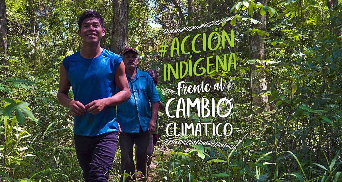 Hoy lanzamos la campaña #AcciónIndígenaFrenteAlCambioClimático para visibilizar las acciones que realizamos los Pueblos Indígenas para hacer frente al cambio climático. Aportes que venimos haciendo desde hace mucho, porque nuestra vida está profundamente conectada con los bosques
