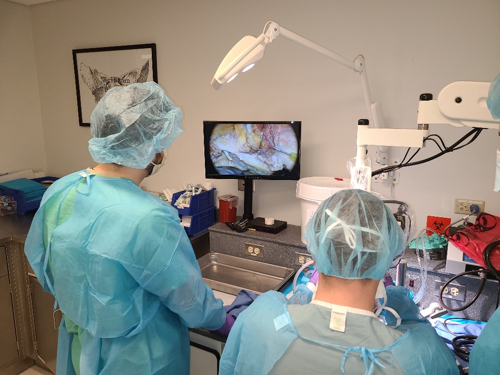 Skull Base Lab (@nmskullbase) on Twitter photo More from our lab Friday with Dr. Michael Walsh. Residents work on their middle fossa approach/anterior petrosectomy technique as Dr. Walsh steps in for guidance and motivation. #Neurosurgery More from our lab Friday with Dr. Michael Walsh. Residents work on their middle fossa approach/anterior petrosectomy technique as Dr. Walsh steps in for guidance and motivation. #Neurosurgery