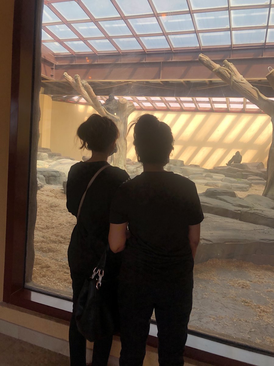 BeeRimsha's tweet photo. Two species staring at each other 👀⁦@DXB⁩ ⁦@visitdubai⁩ ⁦@dubaitourism⁩ ⁦@DubaiSafari⁩ ⁦@dubaisafari01⁩ ⁦@DMunicipality⁩ ⁦@TimeOutDubai⁩ ⁦@khaleejtimes⁩ ⁦@NatGeo⁩ ⁦@NatGeoTravel⁩ https://t.co/FHtqX2o4cf