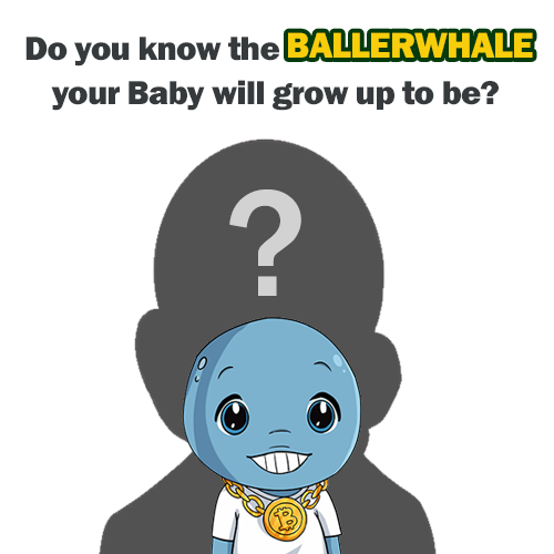 BallerwhaleNFT's tweet image. Next up! News on how you can see your BabyBallerWhale grow up into the BallerWhale they were meant to be! We are adding more utility, value and fun as the Babies grow up. Stay Tuned!

#NFTGiveaway #NFT #NFTS #NFTcollections #NFTProject #OpenSeaNFT