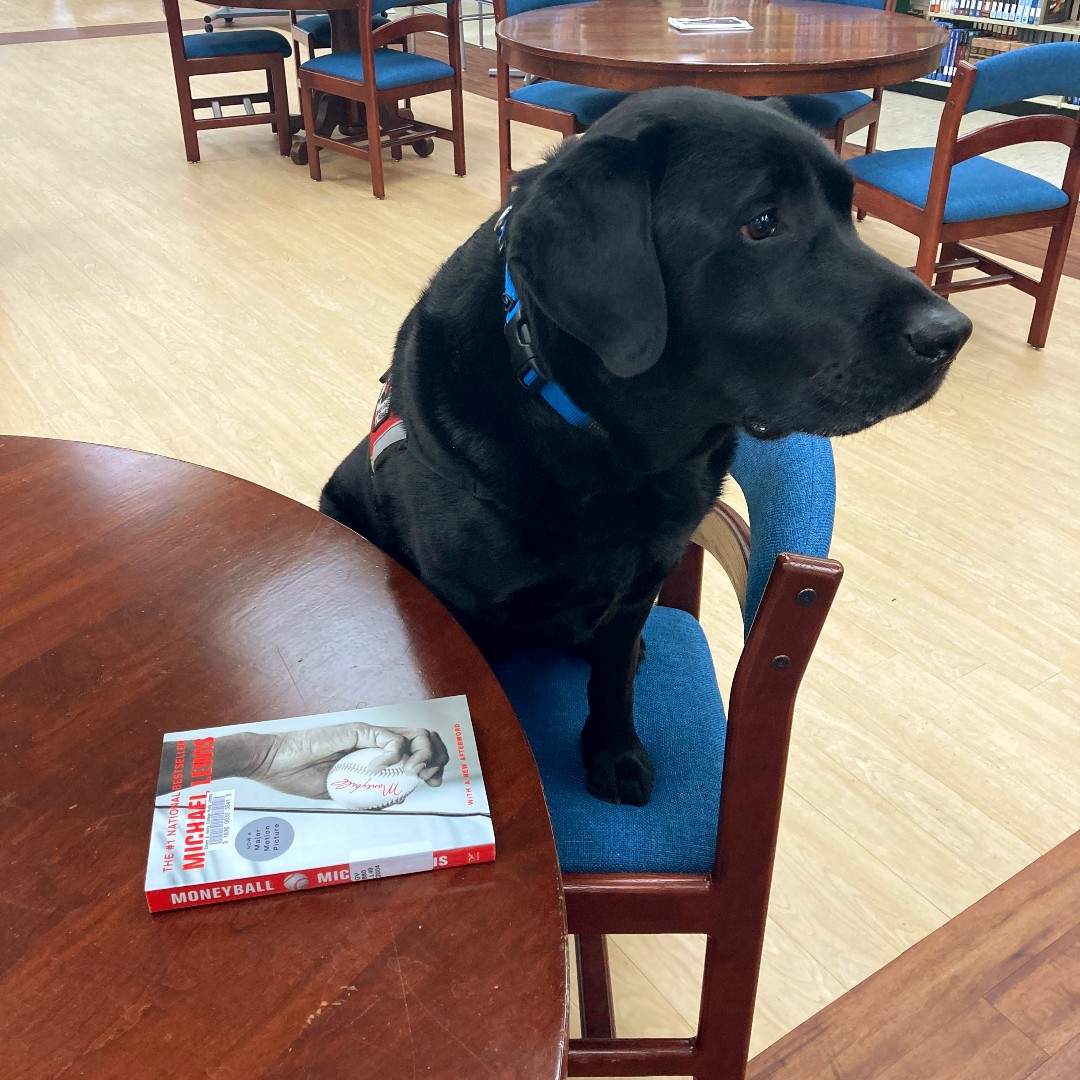 EHCLibraries's tweet image. Welcome back from the three-day weekend! Are you ready to get through this last full week of classes? Are you ready for another weekly visit with Gus? We will see you in the #KellyLibrary this Wednesday, 1PM to 2PM!