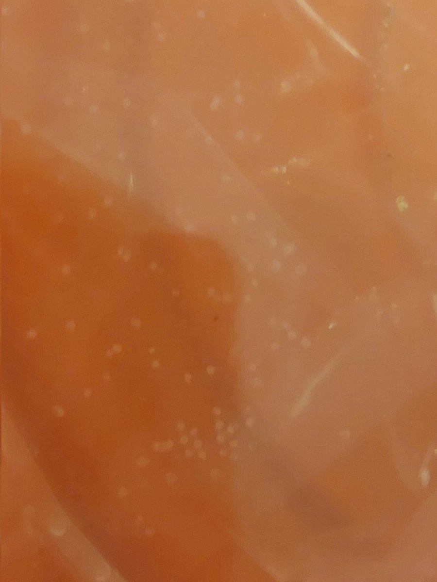 LJWood_LHECMES's tweet photo. It's Shad egg arrival day @LHECMES with @msjacksonenviro. There should be about 960 eggs!🥚We can't wait to hatch our fish fry🐟 and release them on Friday into the Neuse River @naturalsciences @LHES_PTA #shadintheclassroom https://t.co/fdy9kkVxs6
