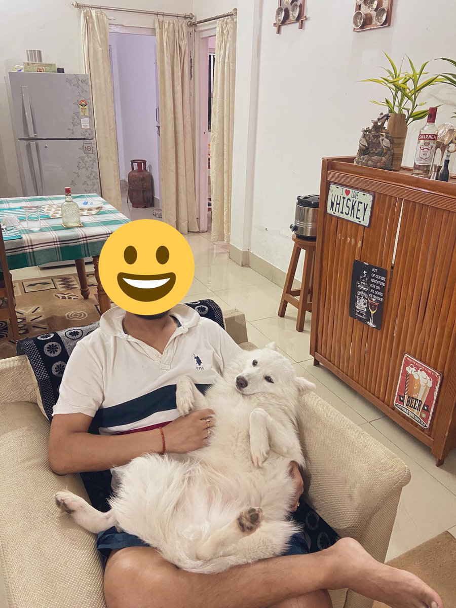 rufusgoodboy's tweet photo. Age is just a number and I am still a puppy!! #dogsoftwitter #twitterdogs #dogs #pets https://t.co/Y2d4dwhCH1