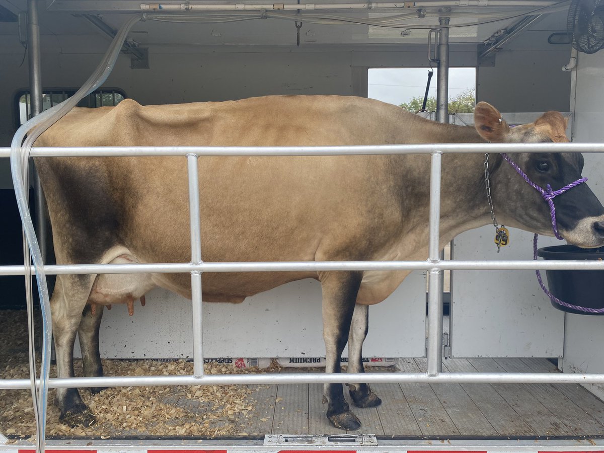 Dixie Elementary tweet media