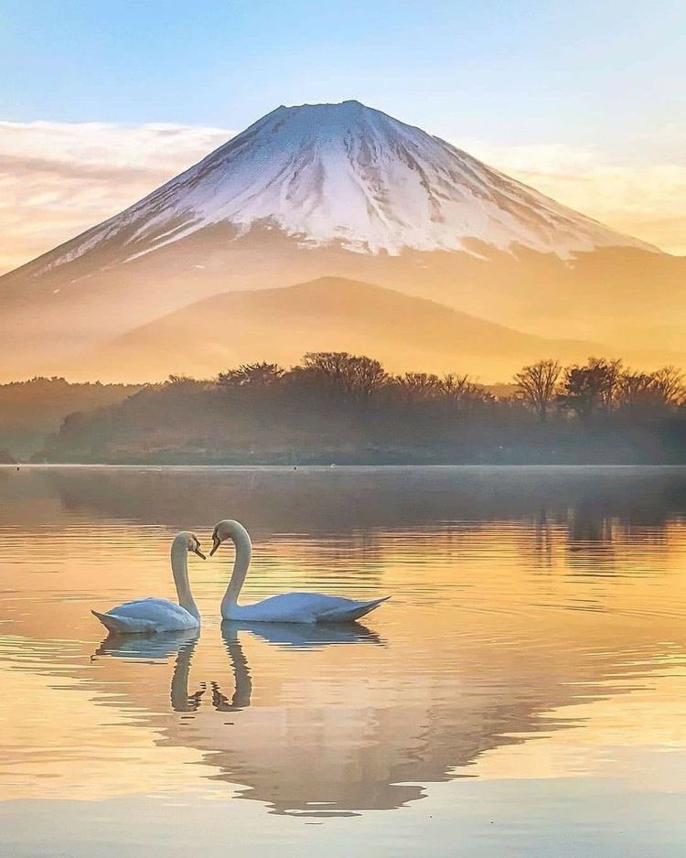 Y6s8D8vmnCo394k's tweet photo. @JAYANTA68438446 @Raaj1114 @Weisssindy3 @PskDilek @Charlypool222 @____Bianka____ @cesarpunta @fmb3l9isWPTEBDy @MAKAVEL109 @NeilaSchaffer @LuGarVel @13g4L0 @Arifzen83363039 @Twin_Flame_318 @DustyRoad357 @So3bhy @ruby0918ppy Thank you for your welcome
😊🤝🌻🌷🌸🌺🌼🌹🏵💐 https://t.co/AKr6KT3kJQ