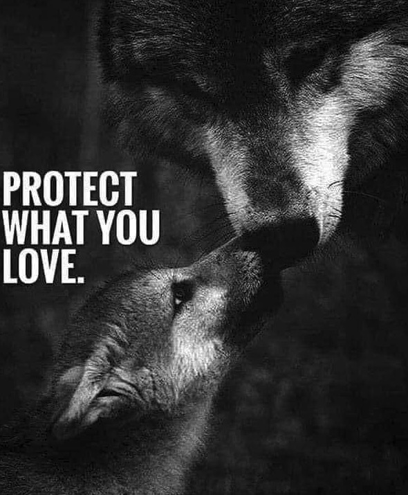 Dani_88_Elf 💚 LOVE WINS 💚 tweet media