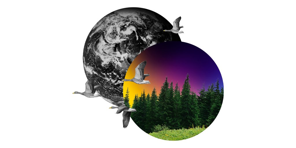 getpantheon's tweet photo. Pantheon is excited to partner with @TreeNation to help create a carbon-neutral future.🌎 We are planting a tree for every @getpantheon employee to support Tree-Nation's goal of planting 2M trees this April. Join us as we go #AllInForEarthDay. 🌳 https://t.co/FgEyn8DKm9 https://t.co/ePJA0E0yHX