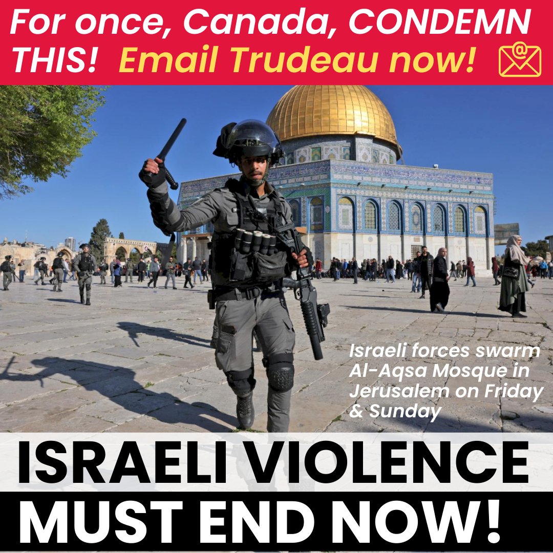 Canadians for Justice and Peace in the Middle East tweet media