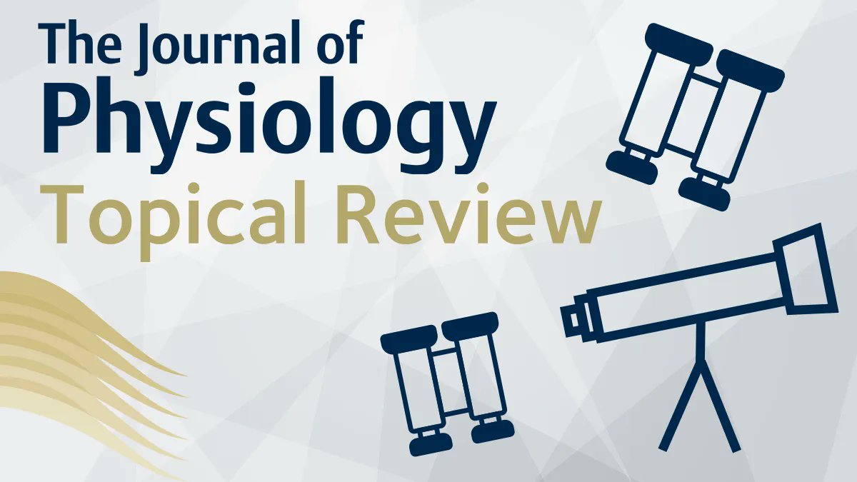 Excellent topical review on 'The legacy of A. V. Hill's Nobel Prize winning work on muscle energetics' from <a href="/UQ_News/">UQ News</a> 👉 buff.ly/3O0eHjY