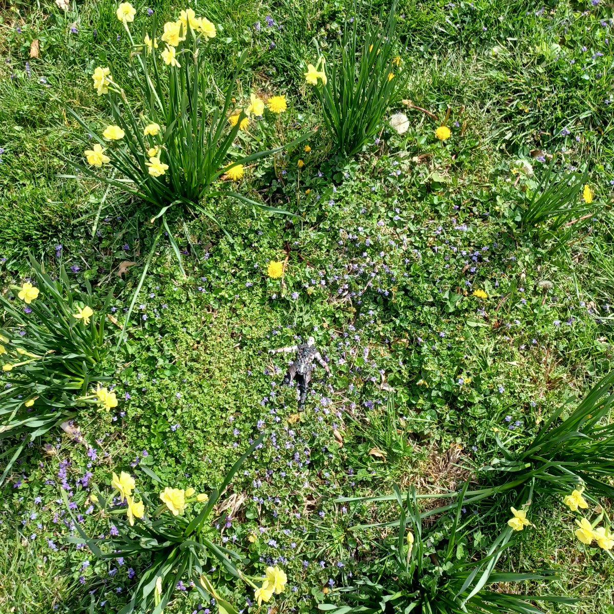 QuanChiFacts's tweet image. Hope your weekend was bright and beautiful! 💚 Meant to post these yesterday, but didn't get around to it til now! That's okay, we can have Quan Chi with flowers today instead 🌼💀🌼

#woolay #tinyquanchi #quanchifacts #spring #Easter2022 #mortalkombat #quanchi