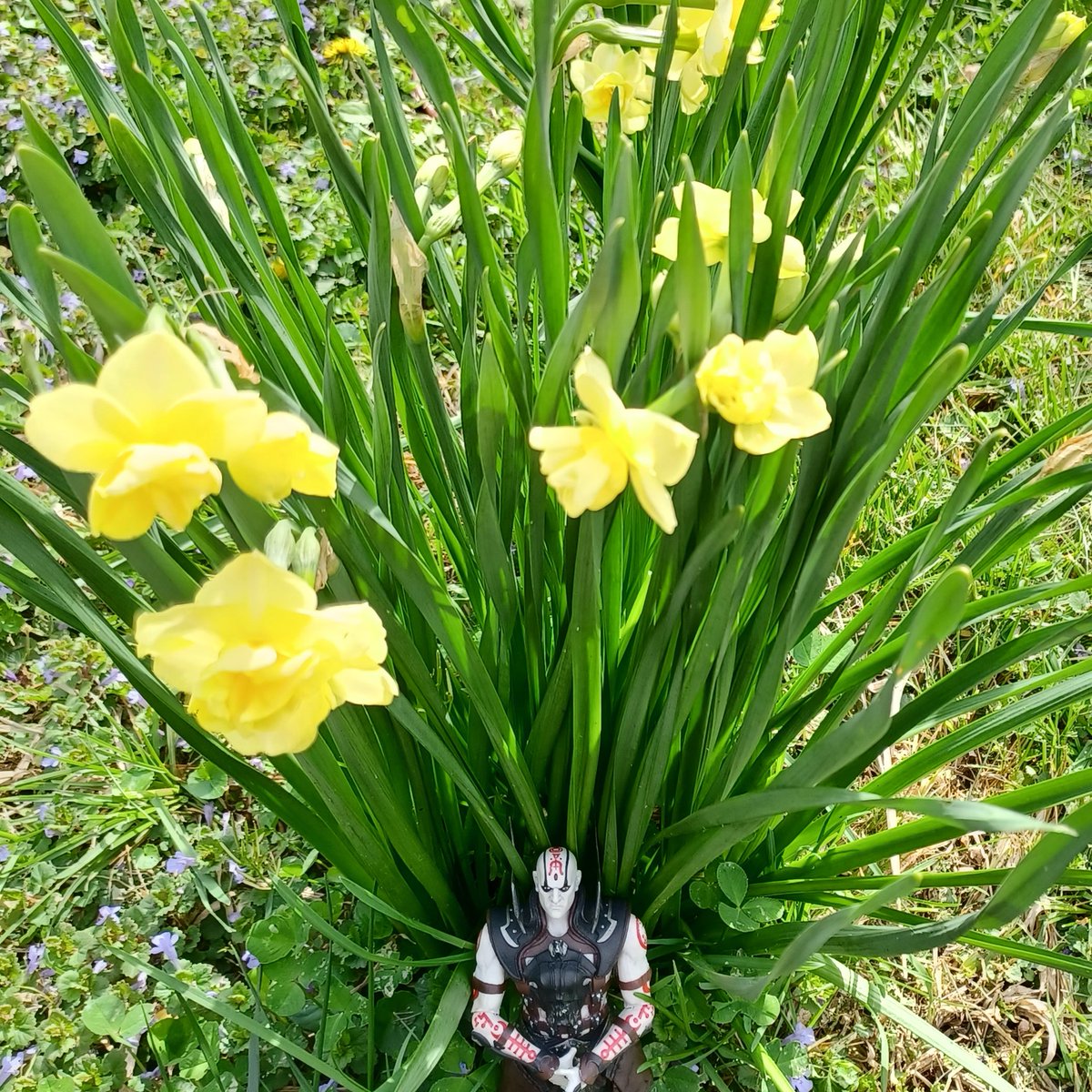 QuanChiFacts's tweet image. Hope your weekend was bright and beautiful! 💚 Meant to post these yesterday, but didn't get around to it til now! That's okay, we can have Quan Chi with flowers today instead 🌼💀🌼

#woolay #tinyquanchi #quanchifacts #spring #Easter2022 #mortalkombat #quanchi