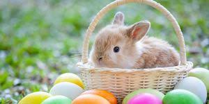 MarfleetJanet's tweet photo. @michaeldamian1 Happy Easter Michael! to you and your Family💕 https://t.co/8TKjdA4a2I