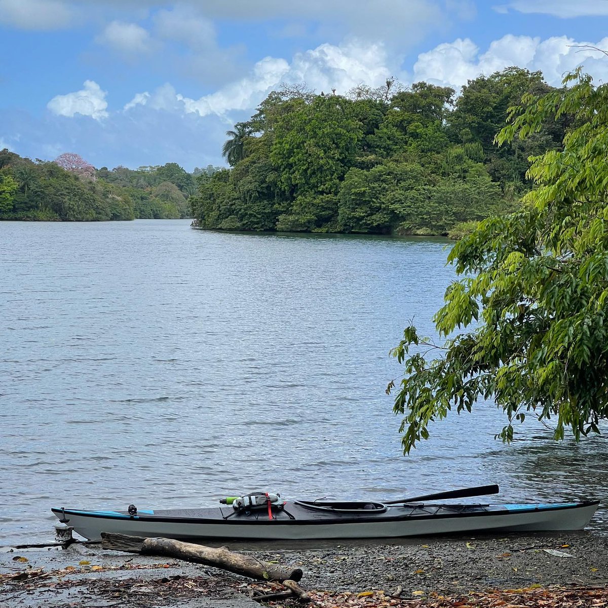 TRAK in the wild! 

This TRAK has made its way to Panama, kayaking through the Chagres River!

Live your Life Unleashed. Order your kayak now in time for your next adventure in 2023! 

ow.ly/JPUG50ICrn7

#TRAK #TRAKKayaks #LiveAdventurously #SeaKayaking #KayakingAdventure