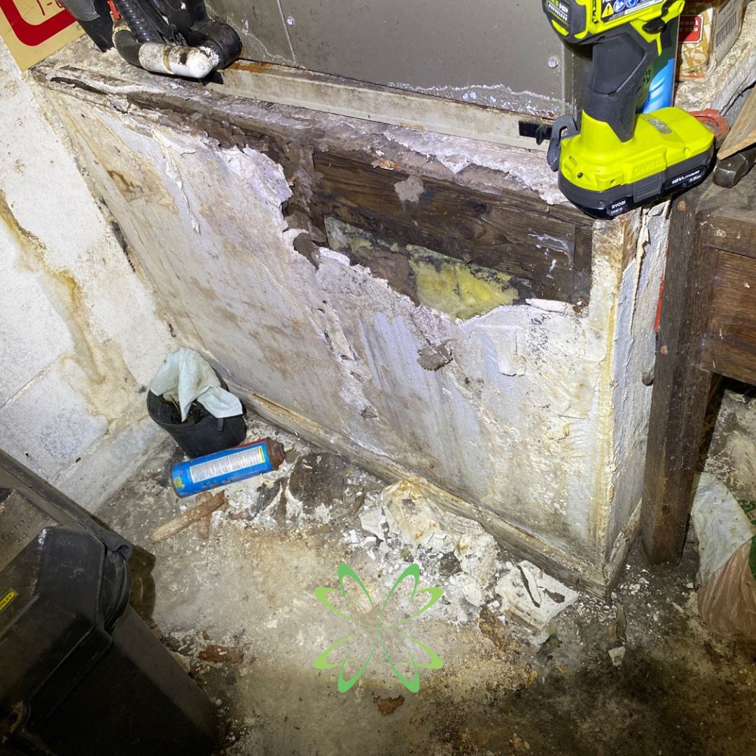 moldinspected's tweet photo. This looks like a bad start to the week. If your #airhandler has a leak and looks like this, don't delay, give #EliteMoldServices a call TODAY!!! 🦠 #moldmadesimple #moldinspection #moldgrowth #moldtoxicity #mold #moldremediation #orlandorealtors #publicadjustersfl #MoldyMonday https://t.co/gM1oVfOQuJ