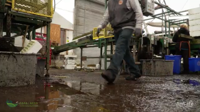 AgSafeBC's tweet photo. Spring weather can turn surfaces into slip or trip hazards.
Slips, trips, falls are a leading cause of injury in agricultural workplaces. Be alert to mud, ice, loose gravel, etc. Wear appropriate footwear. Prevent #sliptripfall https://t.co/blBo4R9bDO #farmsafety #agsafety https://t.co/LAurCGbZQh