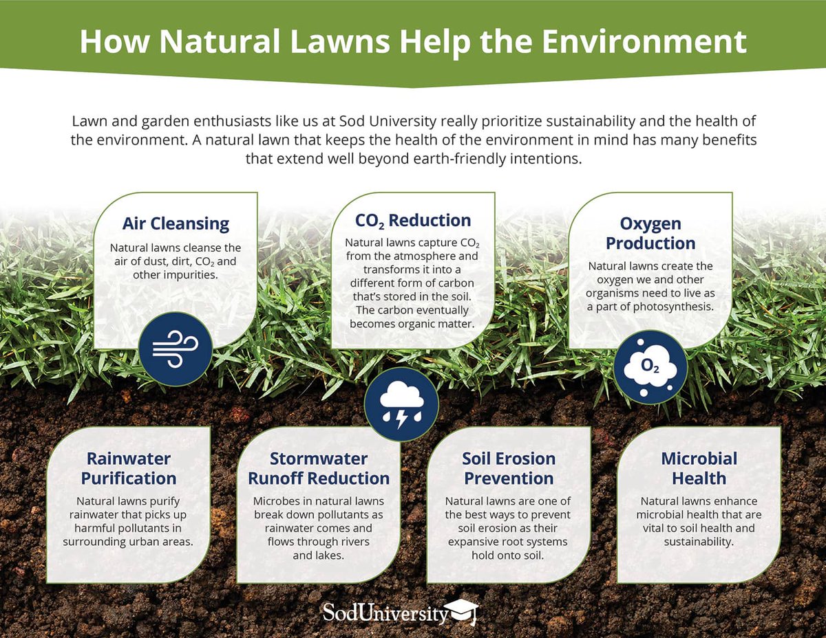 TurfSolv (@turfsolv) on Twitter photo Friday is #EarthDay. Here's some info from our friends <a href="/SodSolutions/">Sod Solutions</a> TurfSolv is non-toxic and biodegradable; controlling pests, disease and providing your turf all the macro and micronutrients it needs! A simple, easy solution to healthy natural grass. Spray and play! Friday is #EarthDay. Here's some info from our friends <a href="/SodSolutions/">Sod Solutions</a> TurfSolv is non-toxic and biodegradable; controlling pests, disease and providing your turf all the macro and micronutrients it needs! A simple, easy solution to healthy natural grass. Spray and play!