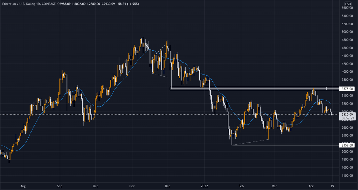 Callum Lucas tweet media