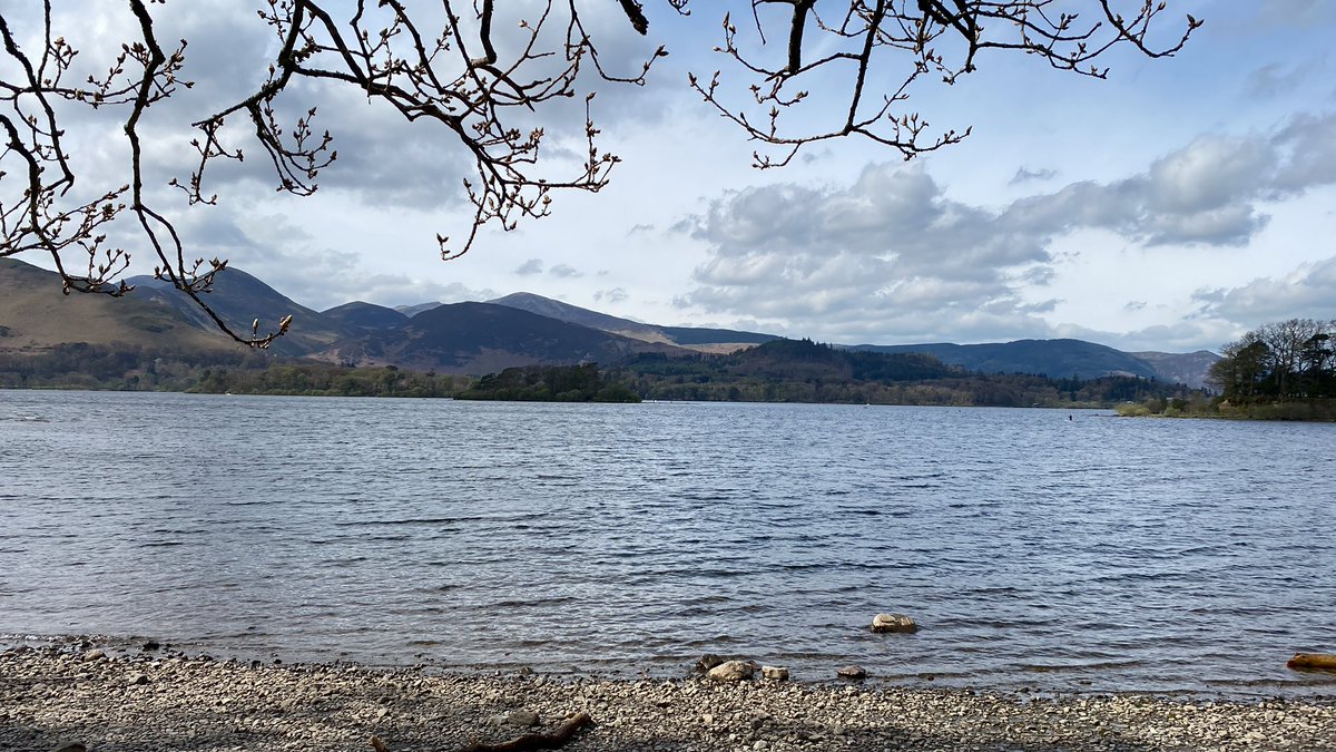 Jeremy Graham tweet media