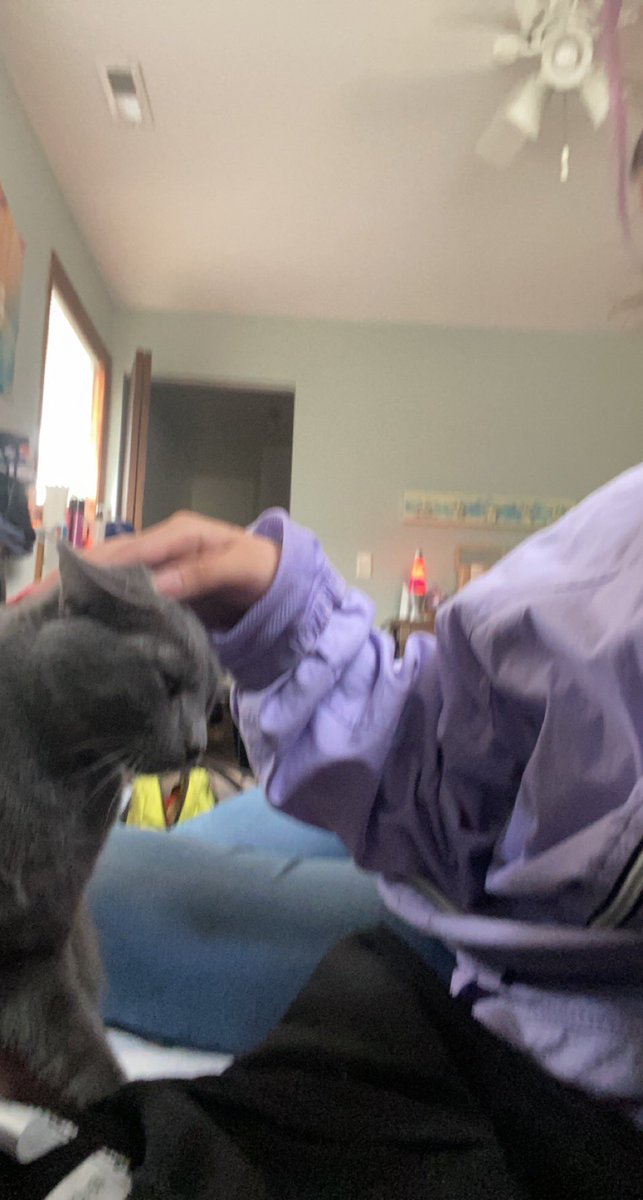 zombieactions's tweet photo. The universe got me every time and Stella especially, my handsome boy https://t.co/yGvYSB0gKe