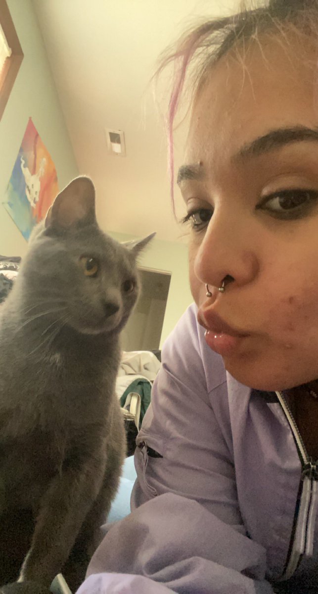 zombieactions's tweet photo. The universe got me every time and Stella especially, my handsome boy https://t.co/yGvYSB0gKe