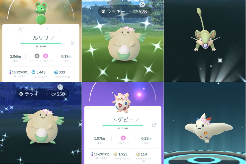 ポケモンgo コラッタの色違い 入手方法と実装状況 攻略大百科