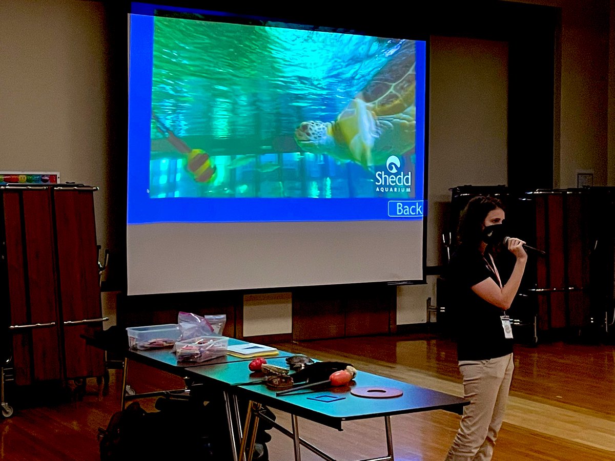 MrBillySpicer's tweet photo. The passionate educators from the @shedd_aquarium are at Hubbard Woods today to kick off #EarthWeek by sharing some of the ways we can help be great stewards for the planet and our previous wildlife. #hwlearns36 #we36 🌎🐟 https://t.co/HRfVwbBJBX
