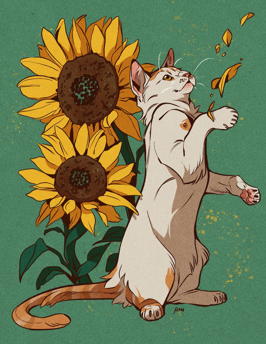 flower sunflower no humans cat animal focus yellow flower signature  illustration images
