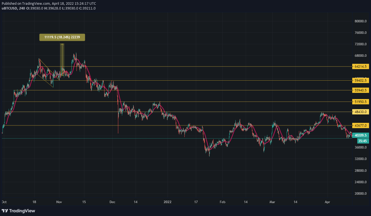 Callum Lucas tweet media