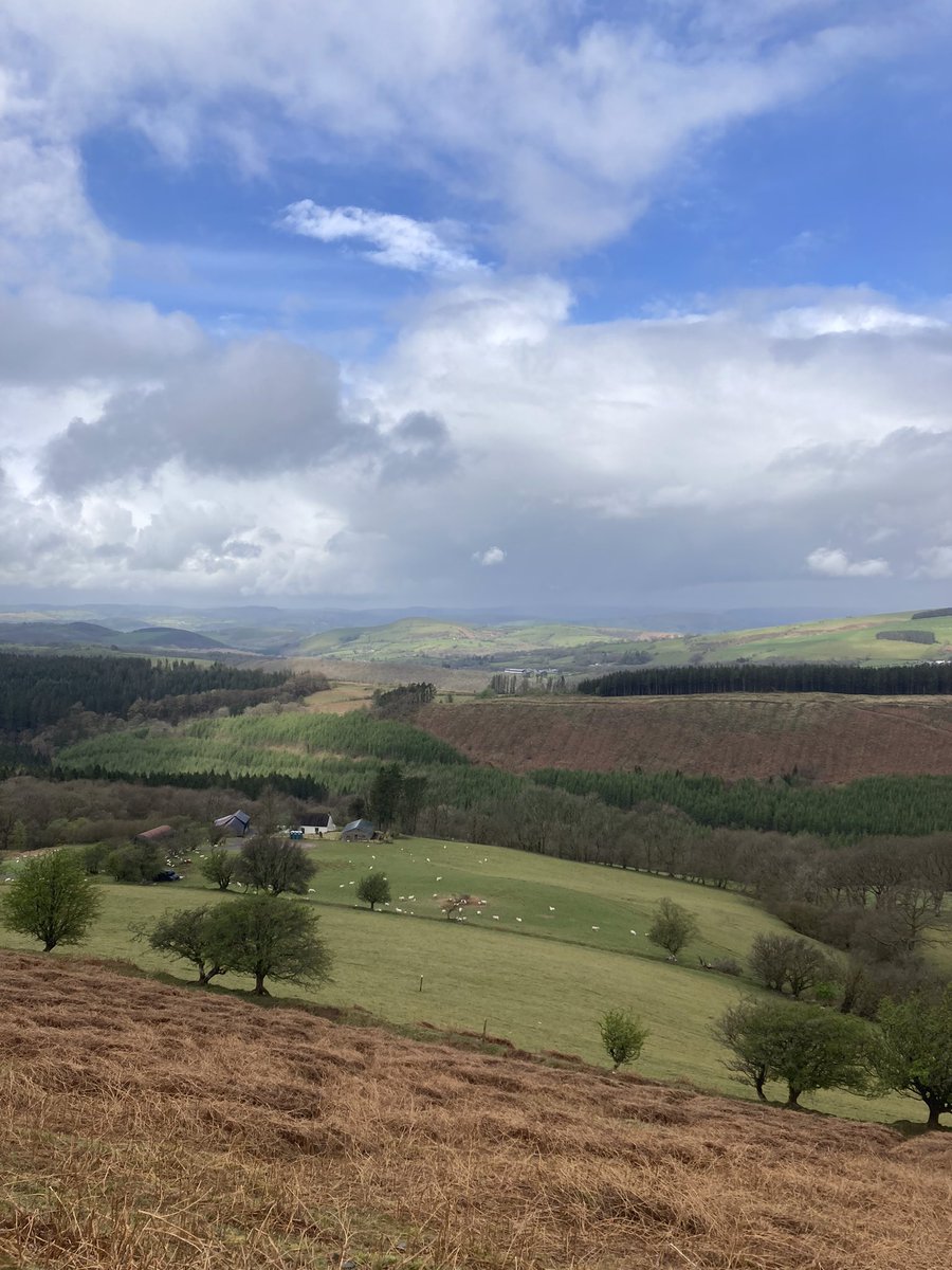 EpyntWayA's tweet photo. Checking Sections 4, 5 and 6 of #epynt way today. Tirabad to Llandeilo’r Fan. https://t.co/KMIERWzCE0