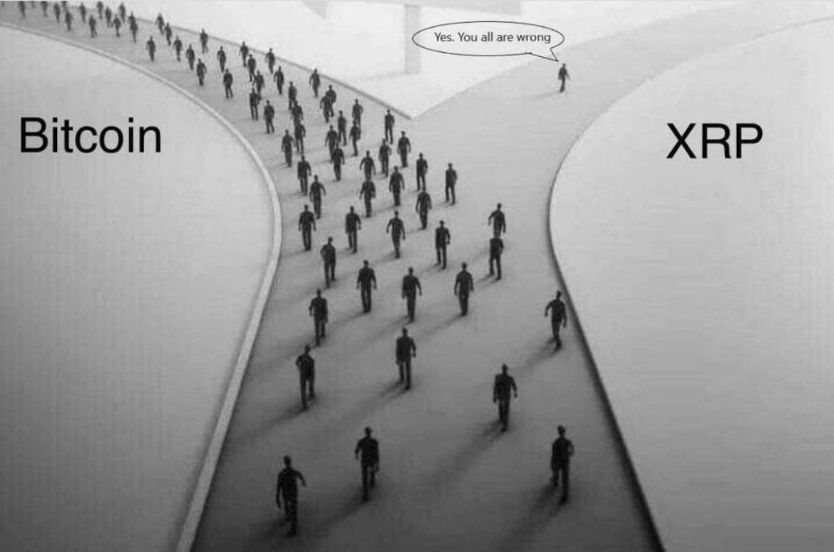 _Crypto_Barbie's tweet photo. How it feels like to be an #XRP investor surrounded by #Bitcoin maxis 🫣 https://t.co/wIn4rhSbiu