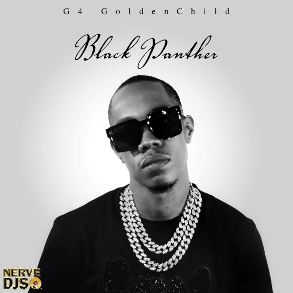 Listen to this #NerveDJs High #Priority #Single “Black Panther” by @G4GoldenChild uploaded by #DiamondMillRecords to nervedjsmixtapes.com/singles/BlackP… listen, comment and download at s.disco.ac/pgwpwnnbwbqp