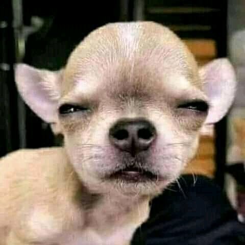 malekalee2's tweet photo. Imagine gathwe you don't like The packager.. I swear you need a doctor.
Let's stream anker bo lala
#StreamThePackagerBUXReason https://t.co/hnBrc2yWdo