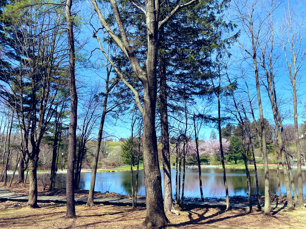 happygolfwidow's tweet image. Beautiful morning. Signs of life. :-) #springinmystep