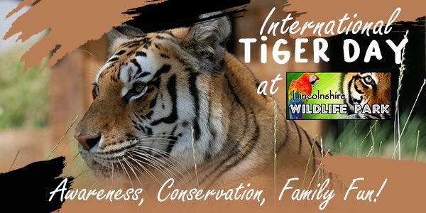 Yessssss… we are very excited about #internationaldayofthetiger this year!
Entertainment, games, inflatables, face paint &amp; glitter art… and so much more to enjoy! 
Full details: lincswildlife.com/events 
<a href="/GroupTogetherLt/">Group Together Ltd</a> <a href="/BAGoldenPalm/">Golden Palm</a> <a href="/skegnessevents/">Skegness Events</a> <a href="/LincsEvent/">LincolnshireLive Events</a> <a href="/VisitLincsCoast/">Lincs Coastal BID</a>