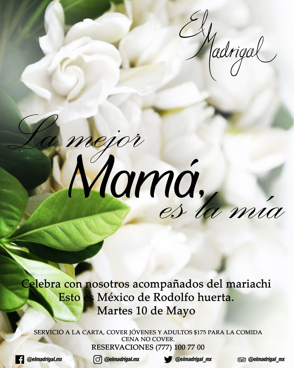 elmadrigal_mx's tweet photo. La mejor Mamá, es la mía 
Este Martes 10 de mayo celebra a mamá en esta su casa El Madrigal

Reservaciones al (777)100 77 00
WhatsApp https://t.co/BaBjGeZa00

#ElMadrigal #10deMayo #DíaDeLasMadres #Mamá https://t.co/67KosySrHe