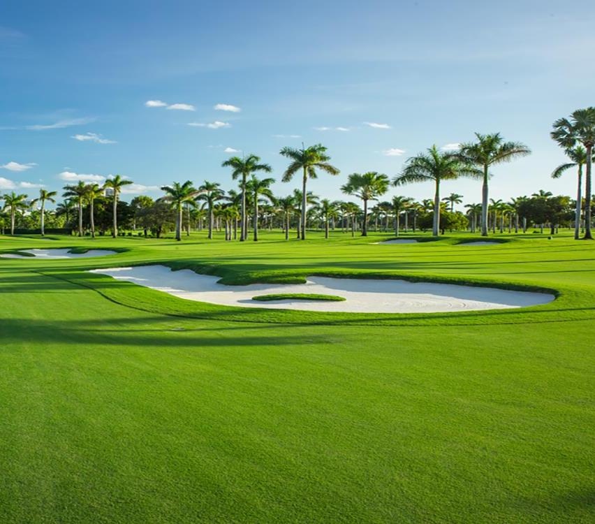 BHHSEWMRealty's tweet photo. Miami is a well known top choice for golfers everywhere to disconnect and play all around. With exceptional weather and beautiful courses, the Miami golf experience is like no other 🏌️

Swipe for 4 for some of the best golf courses in the Miami area! https://t.co/qtHijWCDnO