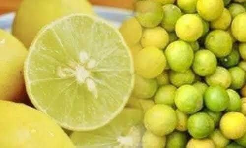 नींबू औऱ हरीमिर्च अडानी,अंबानी, मोदी ज़ी उगा रहे है क्या? किसान ही उगा रहे है ना
तो भाई ख़रीदो चिल्ला क्यों रहे हो कल तो बड़े बड़े नारे लगा रहे थे कि किसान की उपज के पैसा बढ़ाओ..अब बढ़ रहे है तो पिछवाड़े से धुंआ क्यों दे रहे हो!😇😇