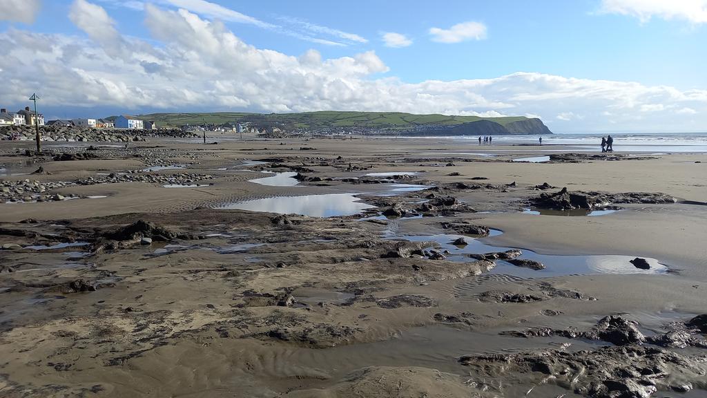 It's not a trip to Borth if you don't look at the petrified forest at least once