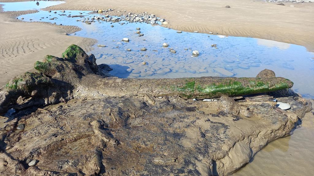 Dr Luke Andrews tweet media