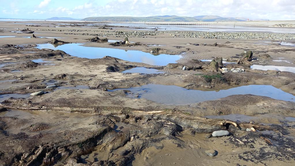 Dr Luke Andrews tweet media