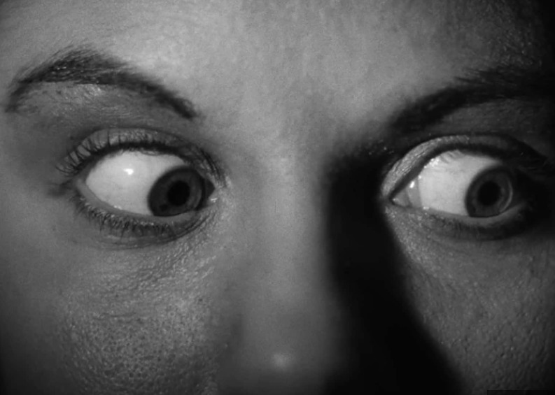 ShadowboxDurham's tweet image. Out of hibernation, into the arts alley - Shadowbox events are back mailchi.mp/f20236cbe362/0…