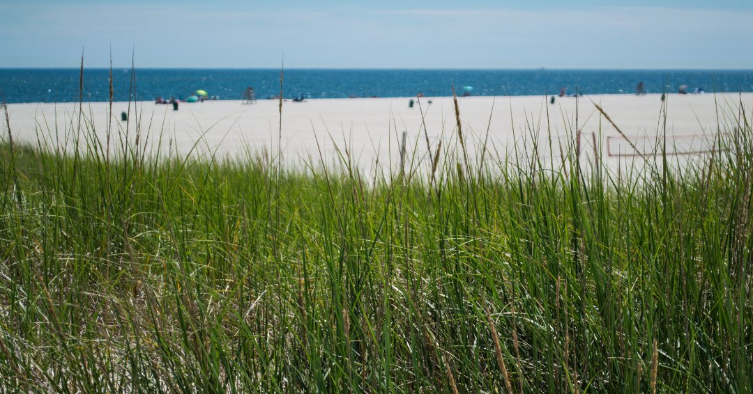 runthehamptons's tweet photo. Please note: We have had to shift the date of the Hamptons Marathon &amp; Half to Saturday, September 17th. Nothing else has changed! If you have a conflict, please email us at info@hamptonsmarathon.com by Tuesday, April 26, Otherwise, we assume you're good to go! #RuntheHamptons https://t.co/j1FKHNj3RR