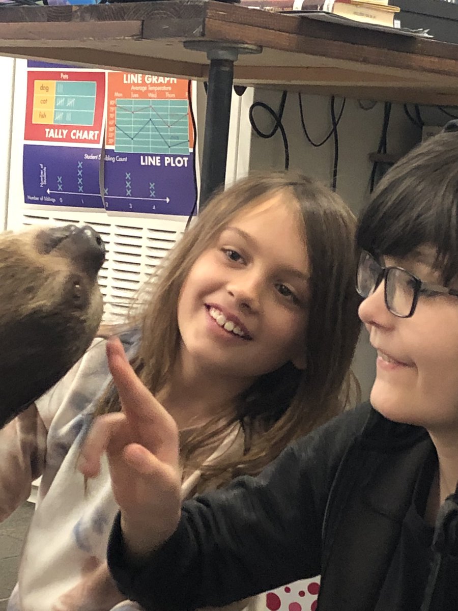 danielspeeps's tweet photo. Science Alive brought us new friends to meet and study!  Chinchilla, alligator, armadillo, and a SLOTH!!! #angellisallthat https://t.co/fvsnunGqPC
